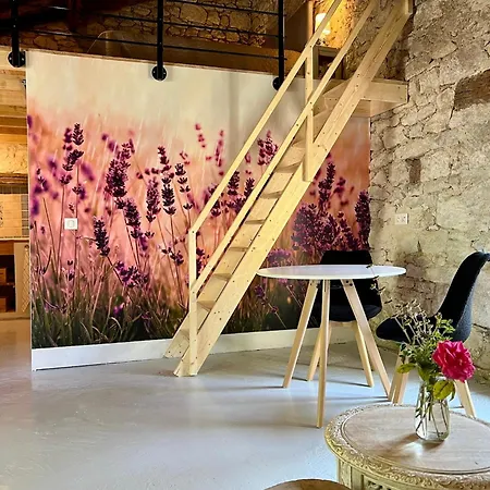 Le Causse En Quercy *